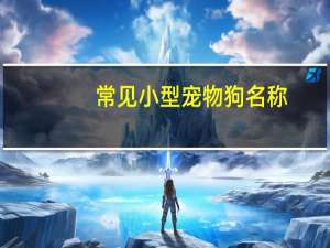 常见小型宠物狗名称