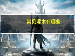 常见灌木有哪些