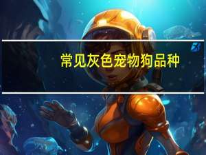 常见灰色宠物狗品种