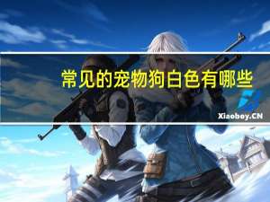 常见的宠物狗白色有哪些