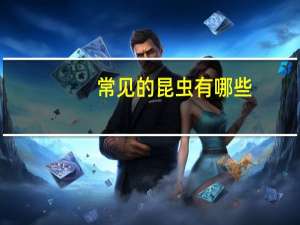 常见的昆虫有哪些