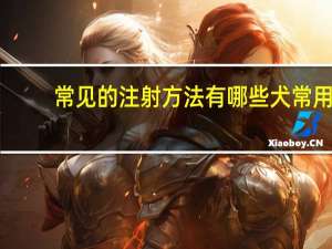 常见的注射方法有哪些 犬常用注射方法有哪些