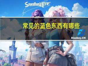 常见的蓝色东西有哪些
