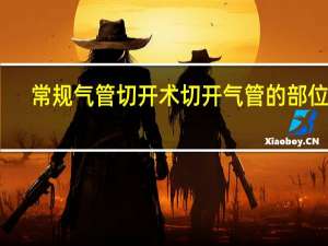 常规气管切开术切开气管的部位是（常规气管切开术切开气管的部位）