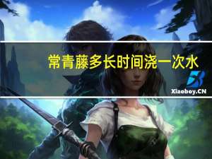 常青藤多长时间浇一次水