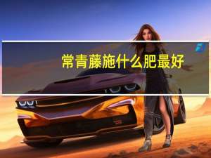 常青藤施什么肥最好