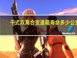 干式双离合变速箱寿命多少公里（干式双离合变速箱寿命）