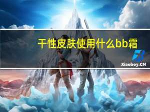 干性皮肤使用什么bb霜