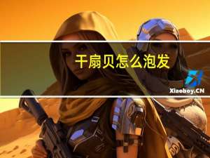 干扇贝怎么泡发