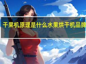 干果机原理是什么水果烘干机品牌推荐