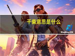 干柴意思是什么