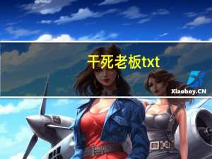 干死老板txt