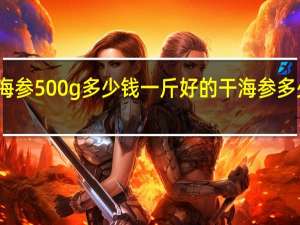 干海参500g多少钱一斤 好的干海参多少钱一斤