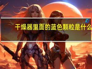 干燥器里面的蓝色颗粒是什么