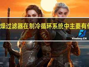 干燥过滤器在制冷循环系统中主要有什么作用