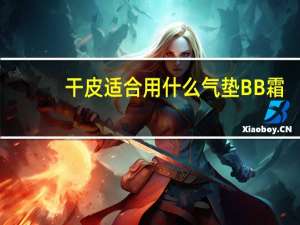 干皮适合用什么气垫BB霜
