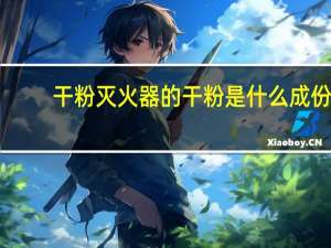 干粉灭火器的干粉是什么成份