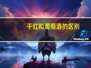 干红和葡萄酒的区别