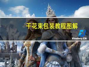 干花束包装教程图解
