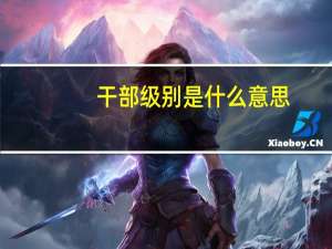 干部级别是什么意思（干部级别）