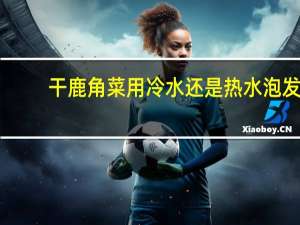 干鹿角菜用冷水还是热水泡发