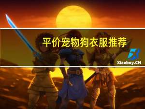 平价宠物狗衣服推荐