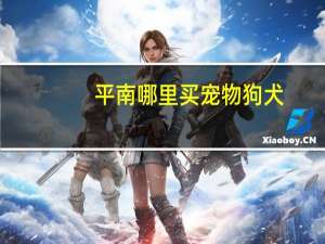 平南哪里买宠物狗犬