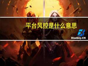 平台风控是什么意思