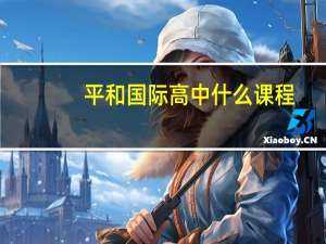 平和国际高中什么课程