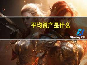 平均资产是什么