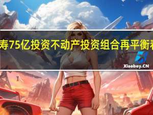 平安人寿75亿投资不动产  投资组合再平衡看好长期价值