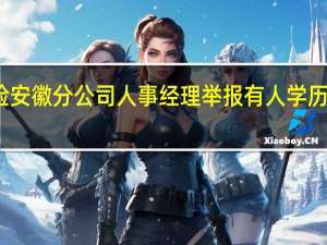 平安养老保险安徽分公司人事经理举报有人学历造假后被调职降薪