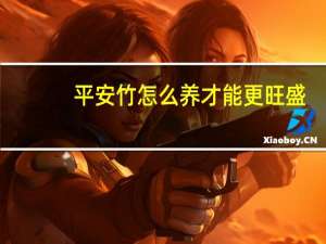 平安竹怎么养才能更旺盛