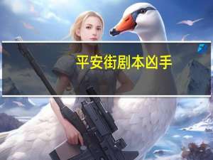 平安街剧本凶手