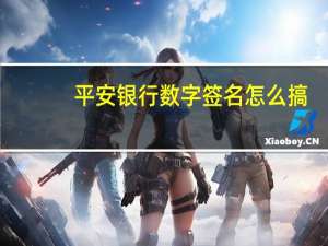 平安银行数字签名怎么搞（平安银行签名控件下载）