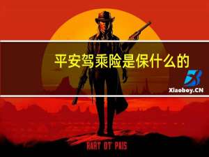 平安驾乘险是保什么的