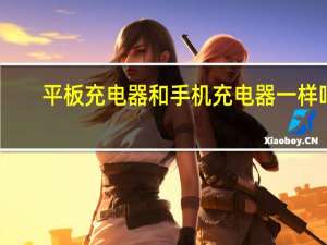 平板充电器和手机充电器一样吗