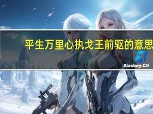平生万里心执戈王前驱的意思