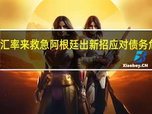 平行汇率来救急 阿根廷出新招应对债务危机能管用？