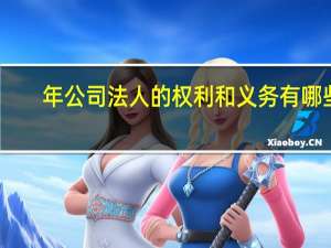 年公司法人的权利和义务有哪些