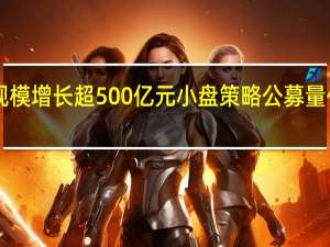 年内规模增长超500亿元 小盘策略公募量化最“吃香”