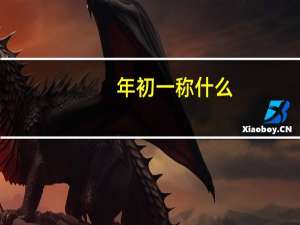 年初一称什么