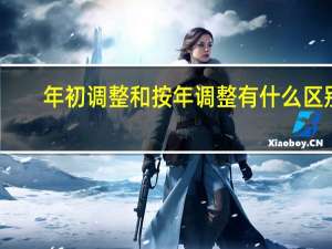 年初调整和按年调整有什么区别