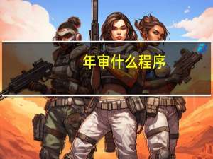 年审什么程序