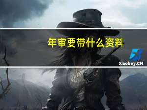 年审要带什么资料