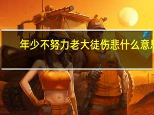 年少不努力老大徒伤悲什么意思
