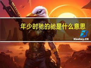 年少时驰的驰是什么意思