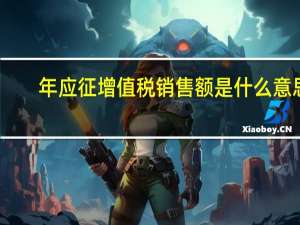 年应征增值税销售额是什么意思