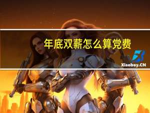 年底双薪怎么算党费（年底双薪怎么算）