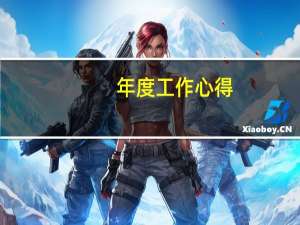 年度工作心得